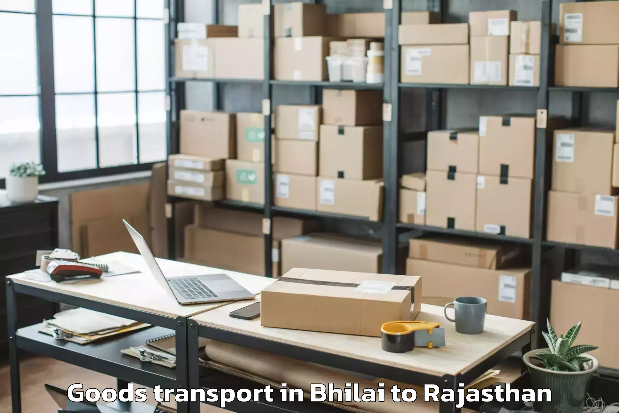 Bhilai to Mohanlal Sukhadia University U Goods Transport Booking